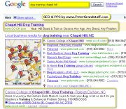 Dominating Search Engine Results - Chapel Hill
